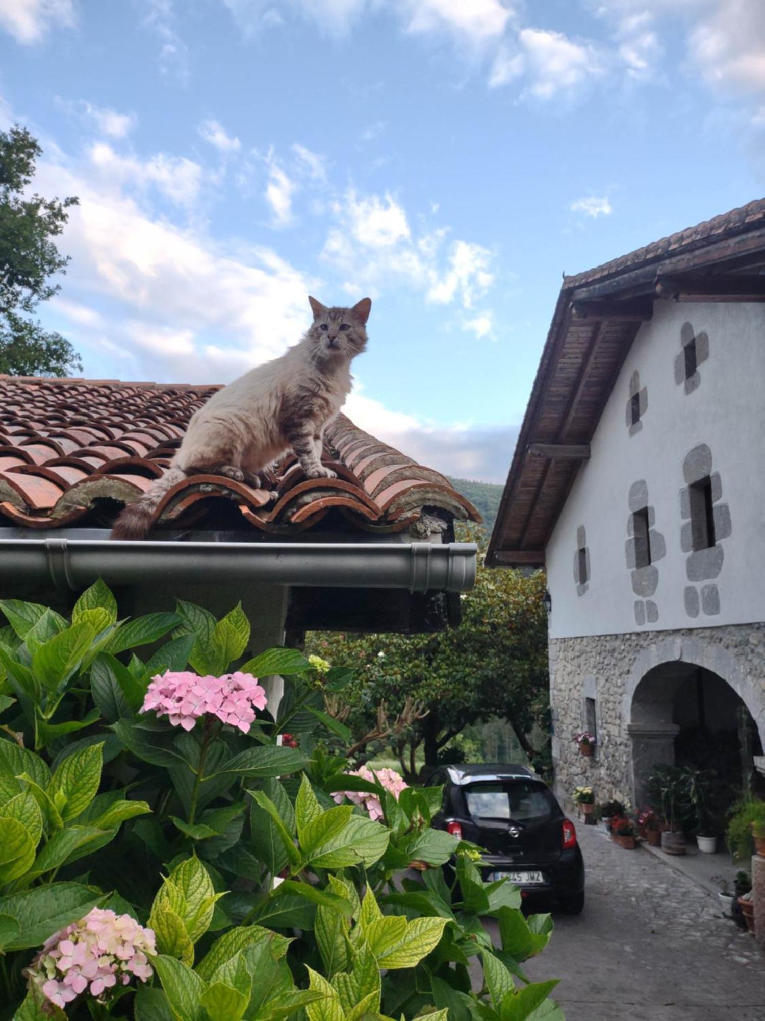 Hotel Rural Natxiondo 雷凯蒂奥 外观 照片